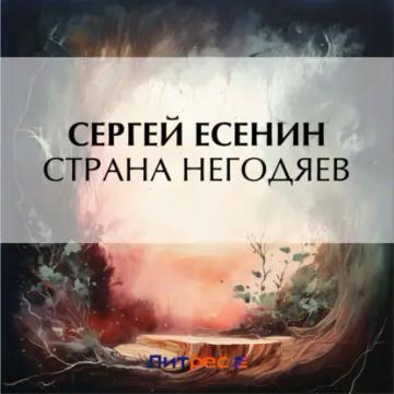 Обложка аудиокниги «Страна негодяев»