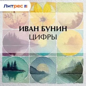 Обложка аудиокниги «Цифры»