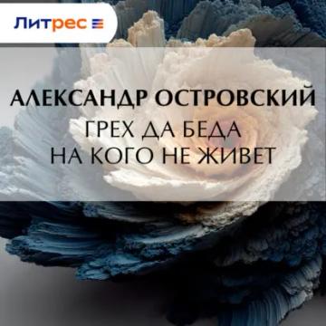 Обложка аудиокниги «Грех да беда на кого не живет»