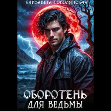 Обложка аудиокниги «Оборотень для ведьмы»