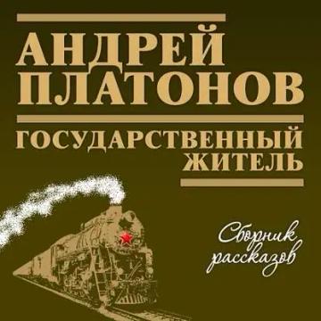 Обложка аудиокниги «Государственный житель»