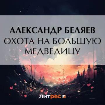 Обложка аудиокниги «Охота на Большую Медведицу»