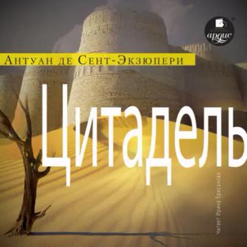 Обложка аудиокниги «Цитадель»