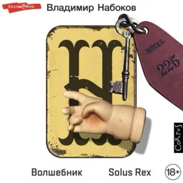 Обложка аудиокниги «Волшебник. Solus Rex»