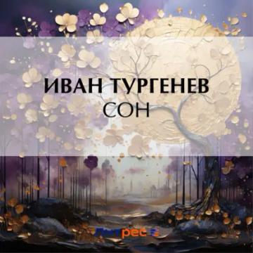 Обложка аудиокниги «Сон»