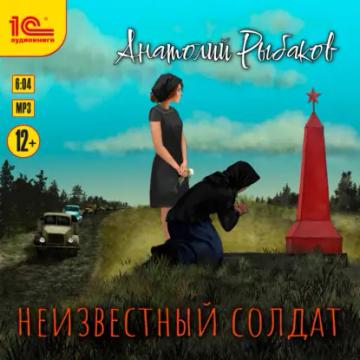 Обложка аудиокниги «Неизвестный солдат»