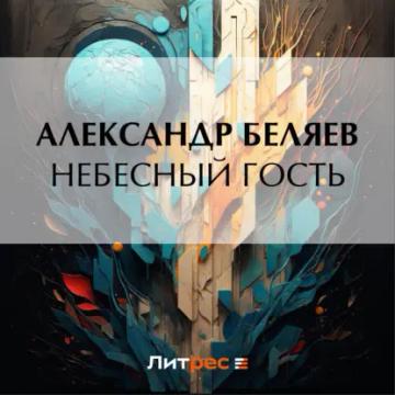 Обложка аудиокниги «Небесный гость»