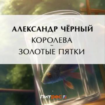 Обложка аудиокниги «Королева – золотые пятки»