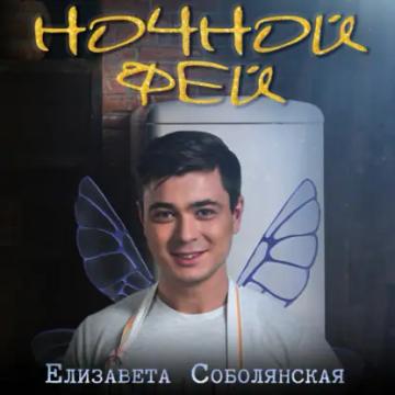 Обложка аудиокниги «Ночной фей»