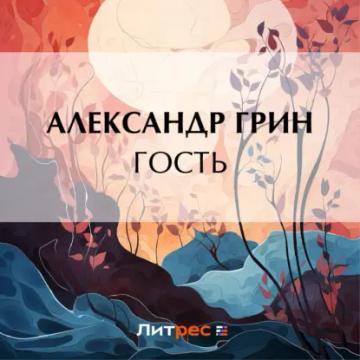 Обложка аудиокниги «Гость»