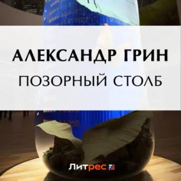 Обложка аудиокниги «Позорный столб»