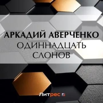 Обложка аудиокниги «Одиннадцать слонов»