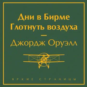 Обложка аудиокниги «Дни в Бирме. Глотнуть воздуха»