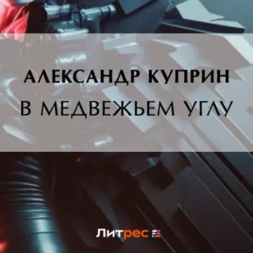 Обложка аудиокниги «В медвежьем углу»
