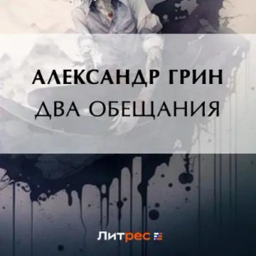 Обложка аудиокниги «Два обещания»