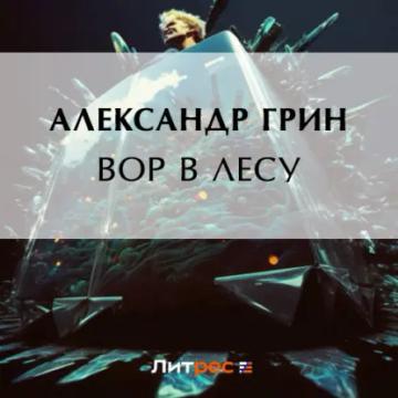 Обложка аудиокниги «Вор в лесу»