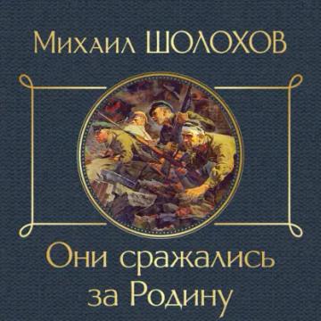 Обложка аудиокниги «Они сражались за Родину»