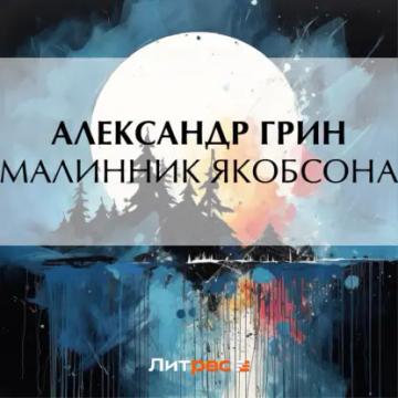 Обложка аудиокниги «Малинник Якобсона»
