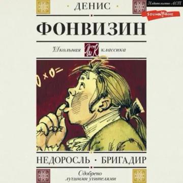 Обложка аудиокниги «Бригадир»