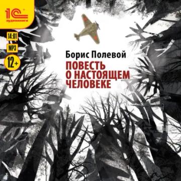 Обложка аудиокниги «Повесть о настоящем человеке»