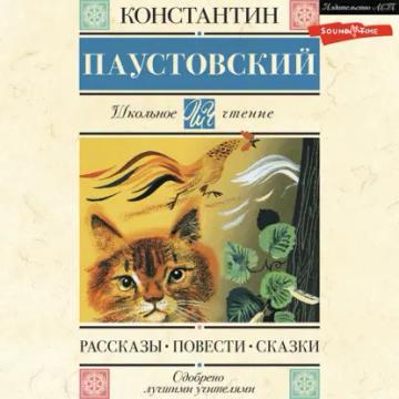 Обложка аудиокниги «Рассказы. Повести. Сказки»