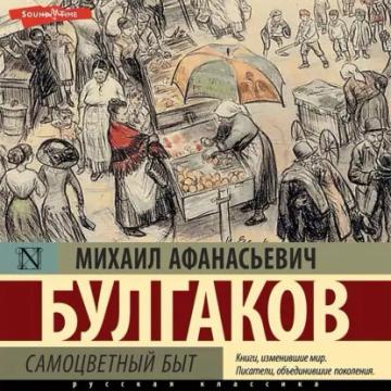 Обложка аудиокниги «Самоцветный быт»