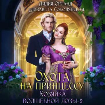 Обложка аудиокниги «Охота на принцессу»
