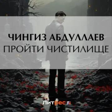 Обложка аудиокниги «Пройти чистилище»