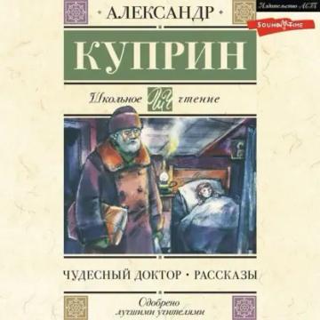 Обложка аудиокниги «Чудесный доктор. Рассказы»