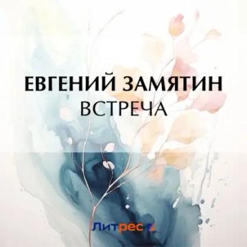 Обложка аудиокниги «Встреча»
