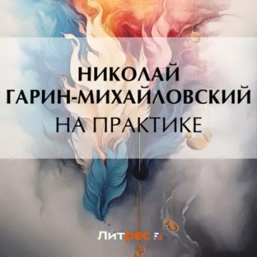 Обложка аудиокниги «На практике»