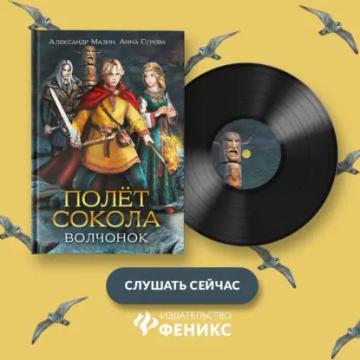 Обложка аудиокниги «Полёт сокола. Волчонок»