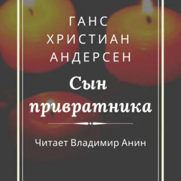 Обложка аудиокниги «Сын привратника»