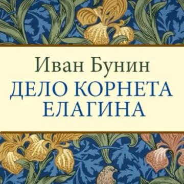 Обложка аудиокниги «Дело корнета Елагина»