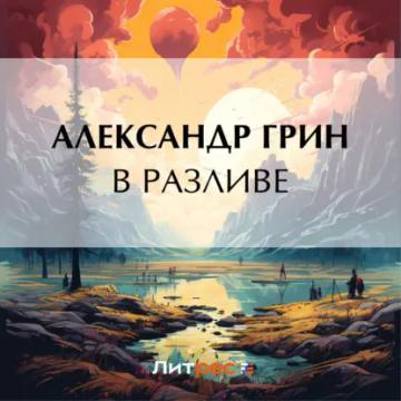 Обложка аудиокниги «В разливе»
