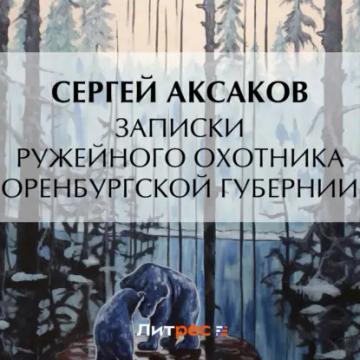Обложка аудиокниги «Записки ружейного охотника Оренбургской губернии. Рассказы и воспоминания охотника о разных охотах. Мелкие охотничьи рассказы»