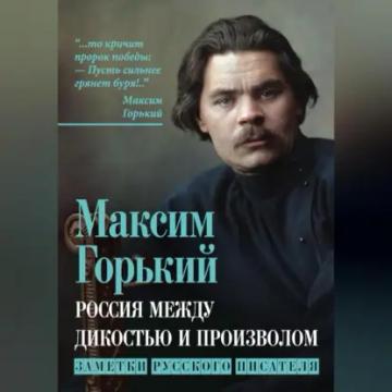 Обложка аудиокниги «Россия между дикостью и произволом. Заметки русского писателя»