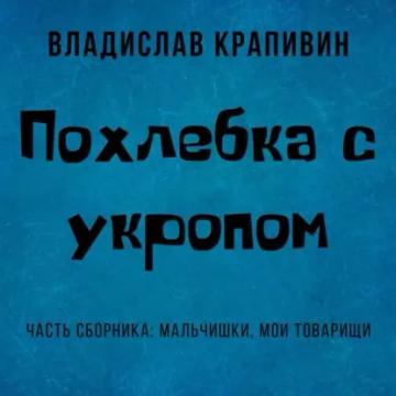 Обложка аудиокниги «Похлебка с укропом»