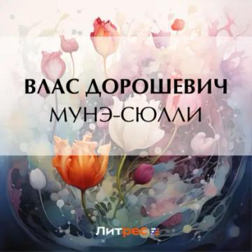 Обложка аудиокниги «Мунэ-Сюлли»
