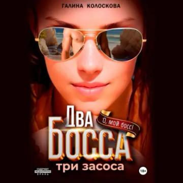 Обложка аудиокниги «Два босса. Три засоса»