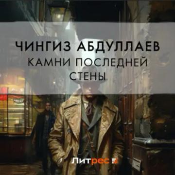 Обложка аудиокниги «Камни последней стены»