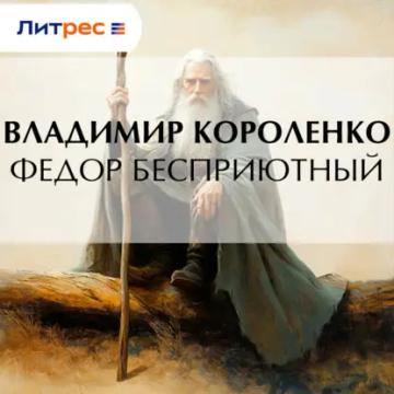 Обложка аудиокниги «Федор Бесприютный»