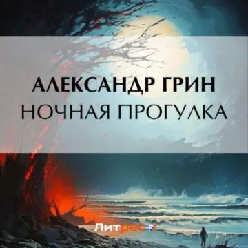 Обложка аудиокниги «Ночная прогулка»