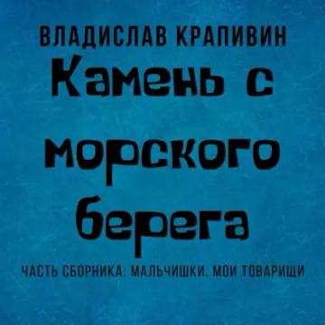 Обложка аудиокниги «Камень с морского берега»