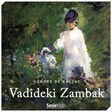 Обложка аудиокниги «Vadideki Zambak»