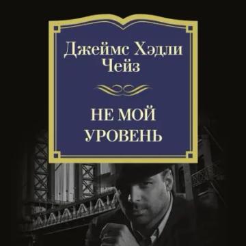 Обложка аудиокниги «Не мой уровень»