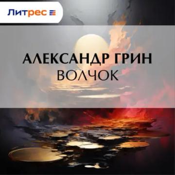 Обложка аудиокниги «Волчок»