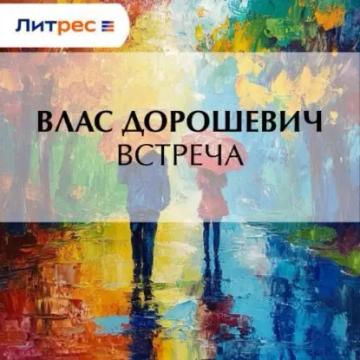 Обложка аудиокниги «Встреча»