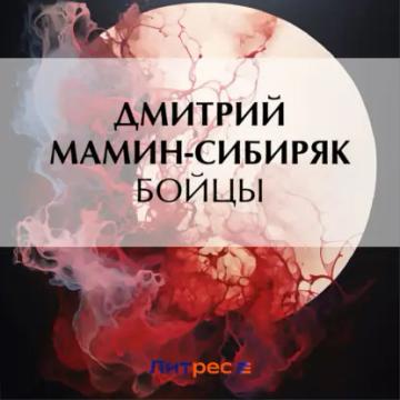 Обложка аудиокниги «Бойцы»