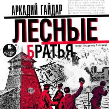 Обложка аудиокниги «Лесные братья (Давыдовщина)»